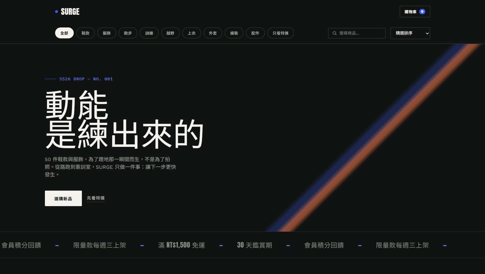 SURGE 網站畫面